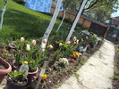 DSC01036