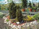 DSC01043