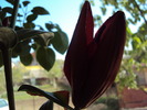 DSC01047