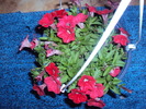 DSC01050