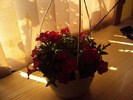 DSC01051
