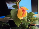 DSC01054