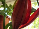 DSC01048