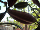 DSC01049