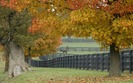 00288_horsefarm_2560x1600
