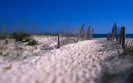 00666_shellisland_2560x1600