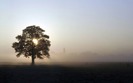00701_airfieldsunrise_2560x1600