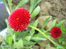 DSC02269