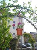 DSC02360