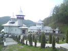 Manastirea Crisan