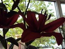 DSC01058