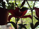 DSC01059