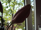 DSC01061