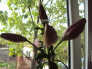 DSC01062