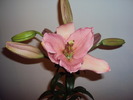 DSC01064