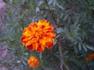 100_9053