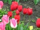 IMG_1394