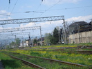 DSC08332