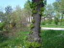DSC08463