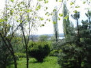 DSC08487