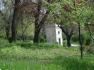 DSC08521