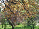 DSC08525