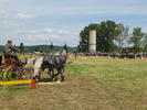 Picture 028