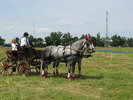 Picture 029