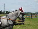 Picture 032