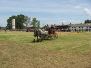 Picture 033