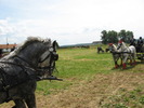 Picture 034