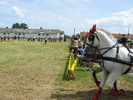 Picture 035