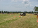 Picture 036