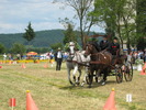 Picture 046