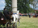 Picture 050