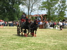 Picture 077
