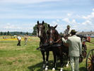 Picture 091