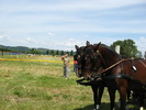 Picture 095