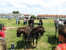 Picture 102