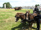 Picture 103