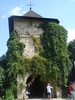 DSC07066