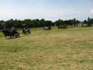 Picture 110