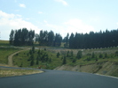 DSC07094
