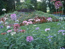 DSC07197