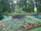 DSC07198