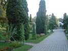 DSC07199
