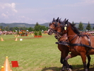Cai Beclean 2009 051