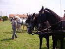 Cai Beclean 2009 055