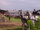 Cai Beclean 2009 060