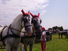 Cai Beclean 2009 061